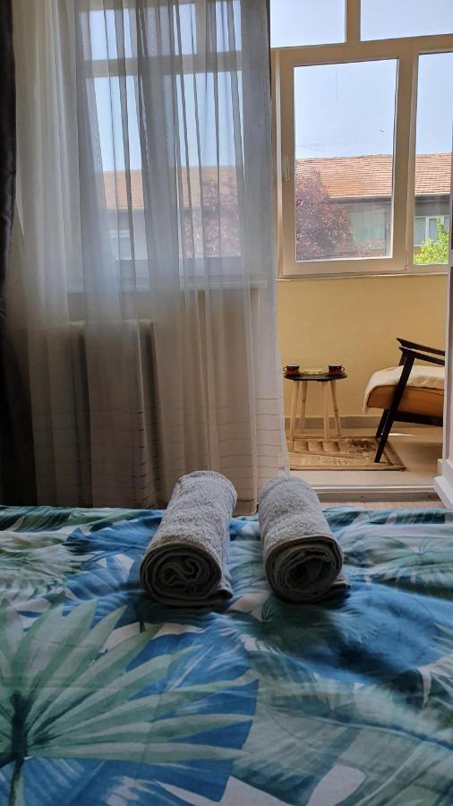 Apartament Estera Apartment Oradea Bagian luar foto