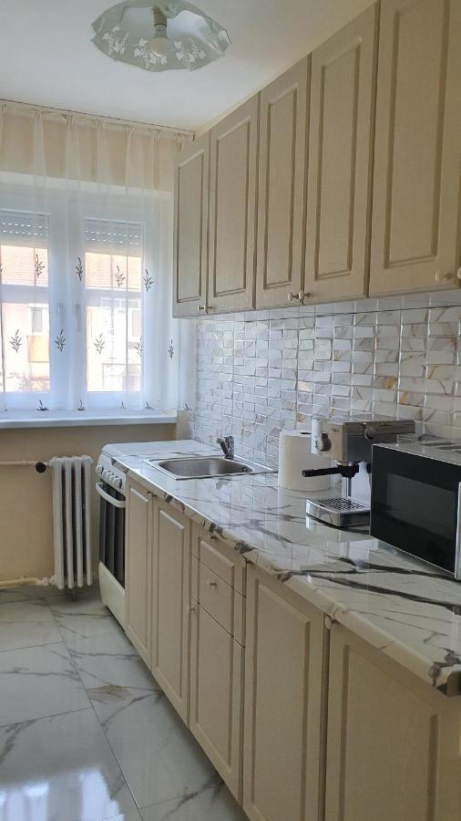 Apartament Estera Apartment Oradea Bagian luar foto